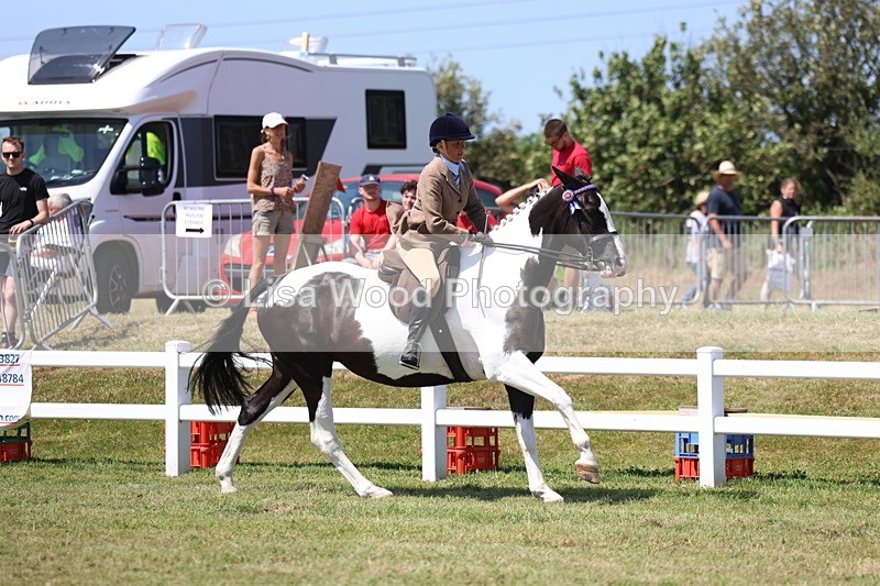 3E7A7881 - Class 7: Open Riding Horse
