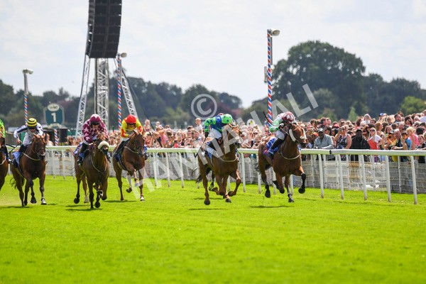 290723-Race 1-Soul Seeker-0244 - Race 1 2.05pm Sky Bet 'Jump Jockeys' Nunthorpe' Handicap