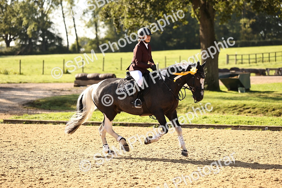 SBM_35229 - J38 - Senior 80cm Championship