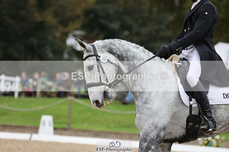 241024-133324-03659 - 155-Sam.Gillespie-CLARIMILO