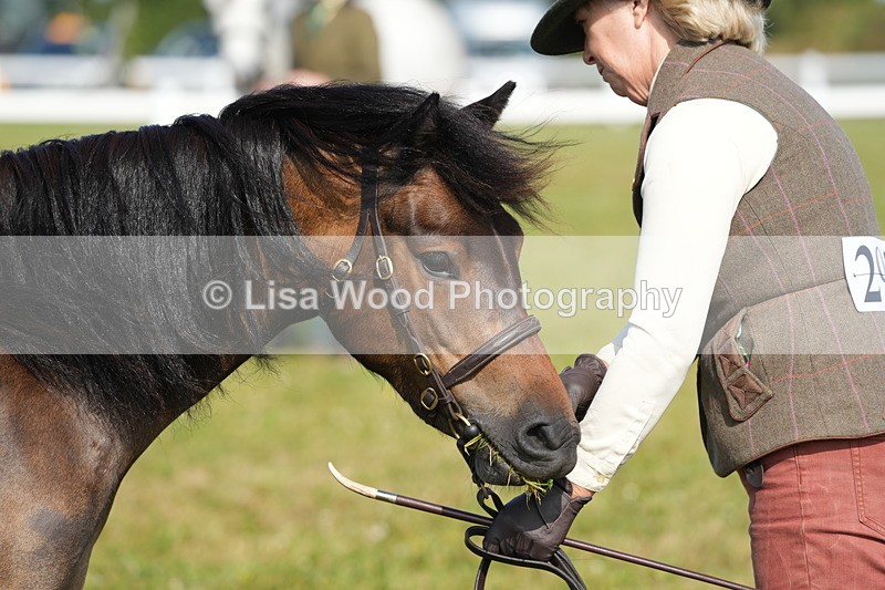 DSC05074 - Class 48: NPS M&M 2/3 year olds