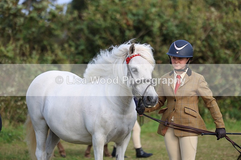 3E7A3224 - Class 12: M & M Small Breeds