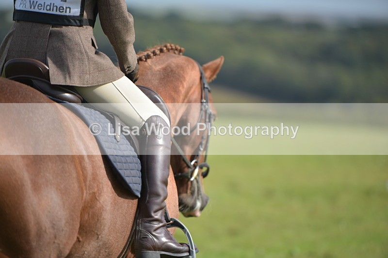RAY_7841 - Class 2B: Trekenning Open: Dressage