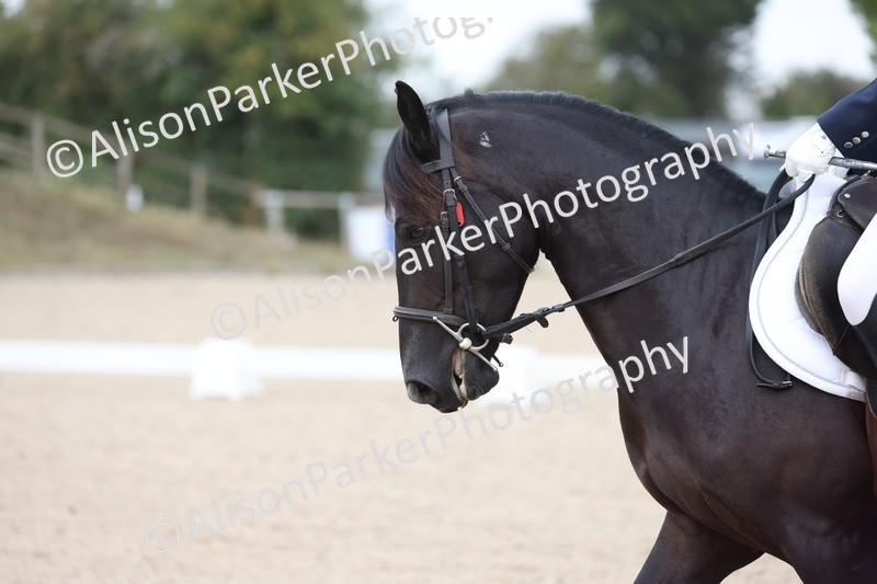 20250819-0955 - Class 2 - Prelim 1