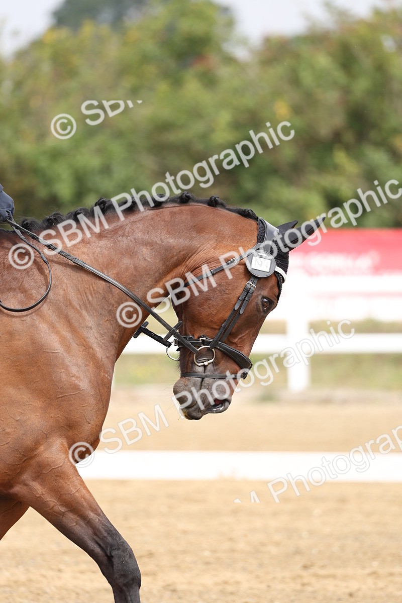 SBM_006237 - Class 6 - novice 6 - 11.50-12.46