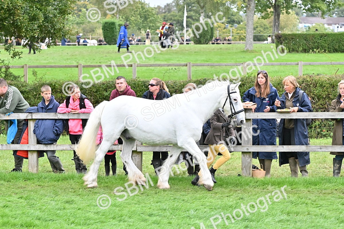 SBM_68576 - S42 - Junior Handler 9-12 Years