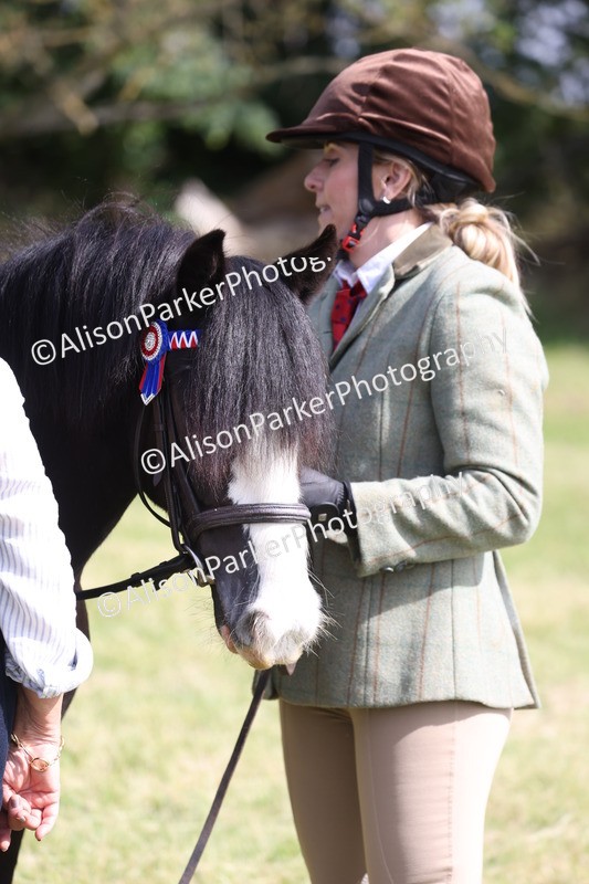 20260614-0631 - Class 20 - Beginners Working Hunter Pony