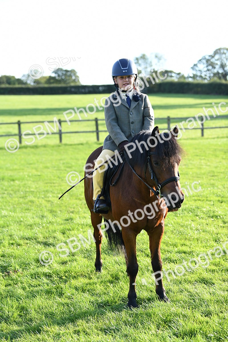 SBM_54117 - S23 - 1st Ridden Mountain & Moorland Pony