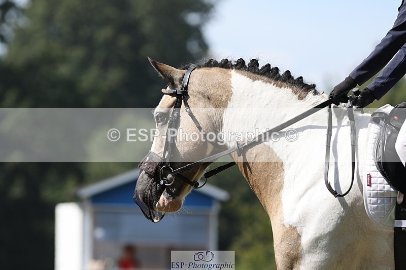 250823A-133459-31321 - Arena D