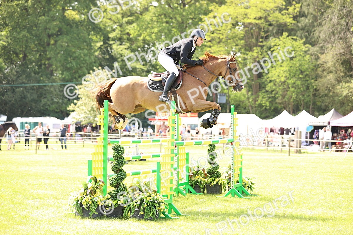 SBM_02981 - Class 201 - British Horse Feedds Speedi Beet HOYS Grade C