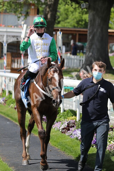 yr11062021r3-37 - Race 3 2.55pm SKF Rous Selling Stakes