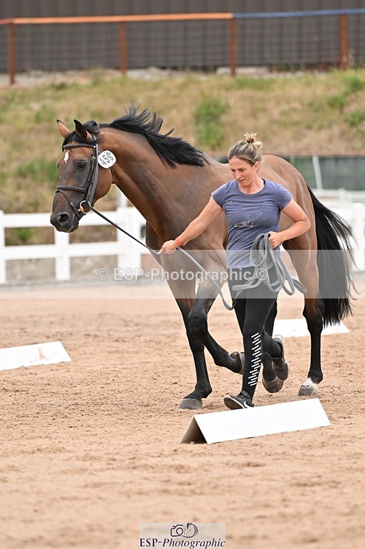 250716-160438-02394 - Trot Up 3.30 to 4.30