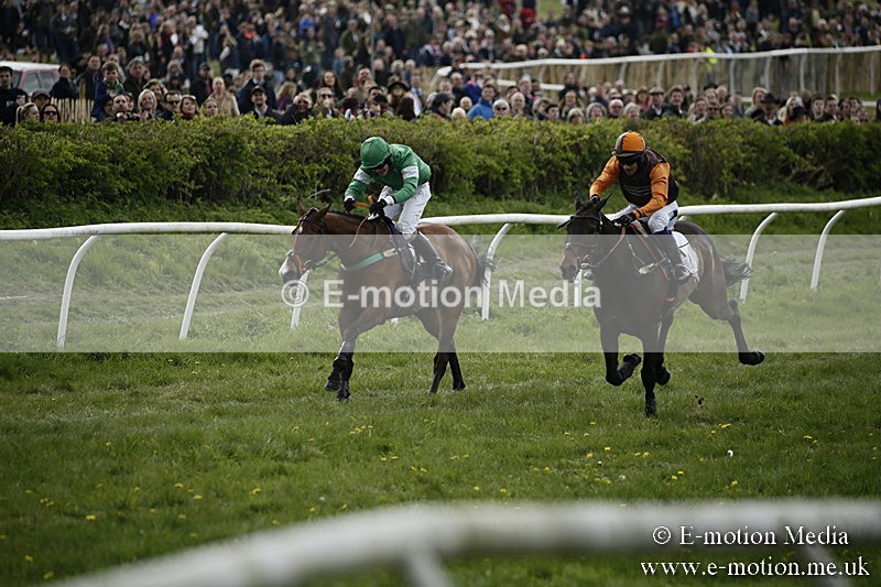 PtP 170417 188 - Old Berks Point-to-Point Lockinge 17/04/17