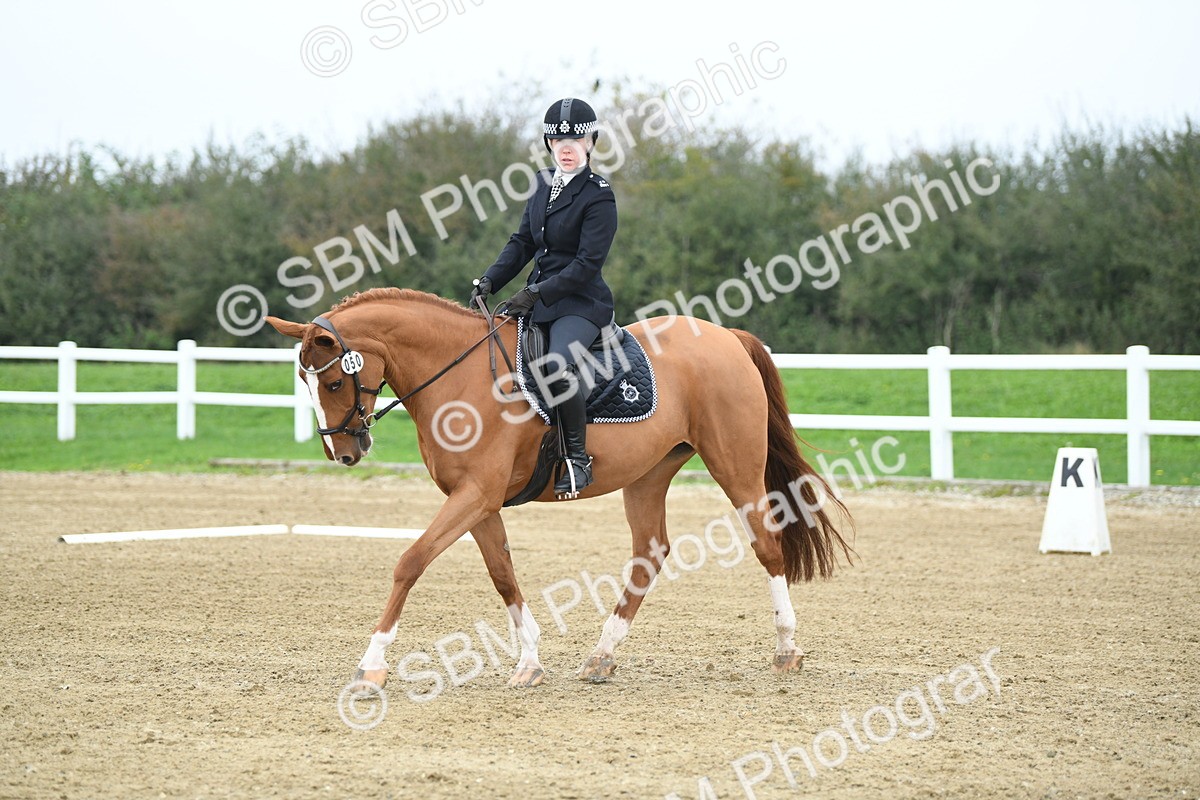 LAD_3701 - Novice Test 2