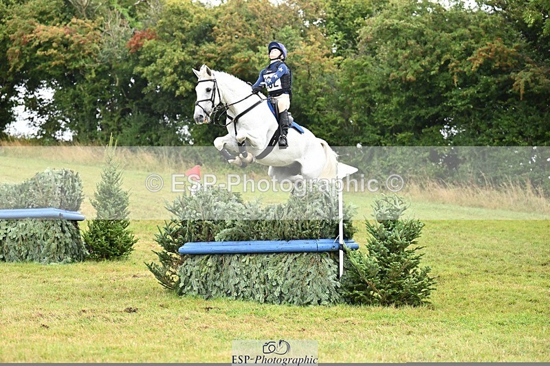 TS_b0624896 - SAT BE 90 Recovered Files fence 8