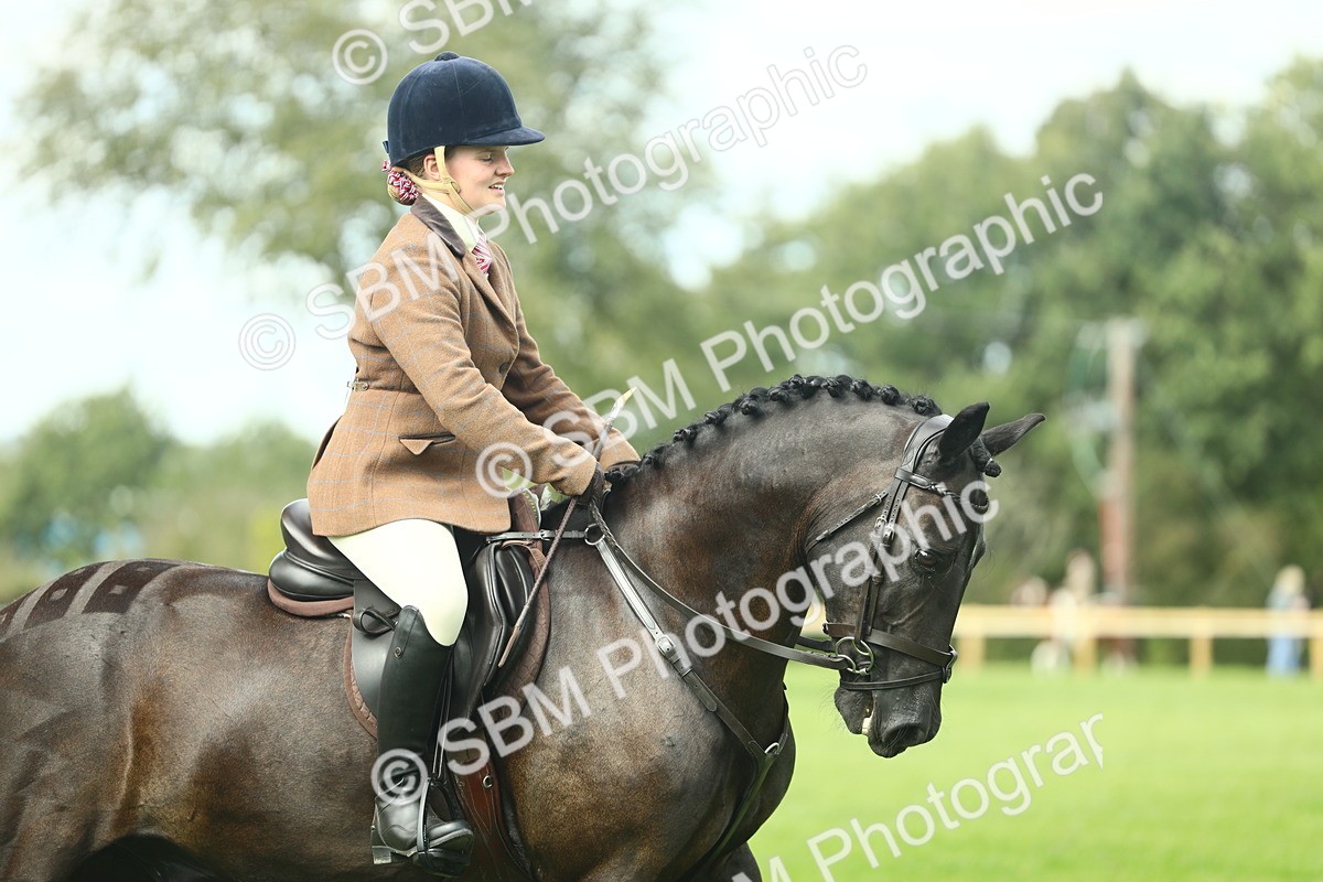 SBM_44755 - S31 - Working Hunter Pony