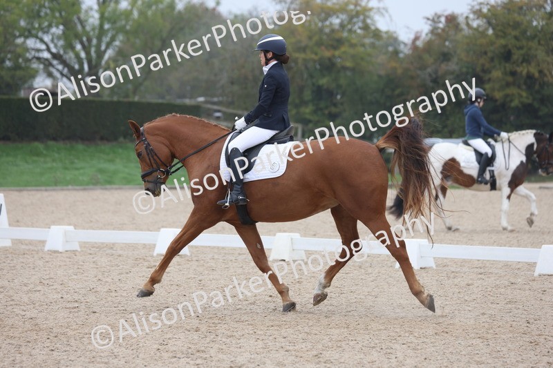 20251012-0554 - Class 4 - Novice 6