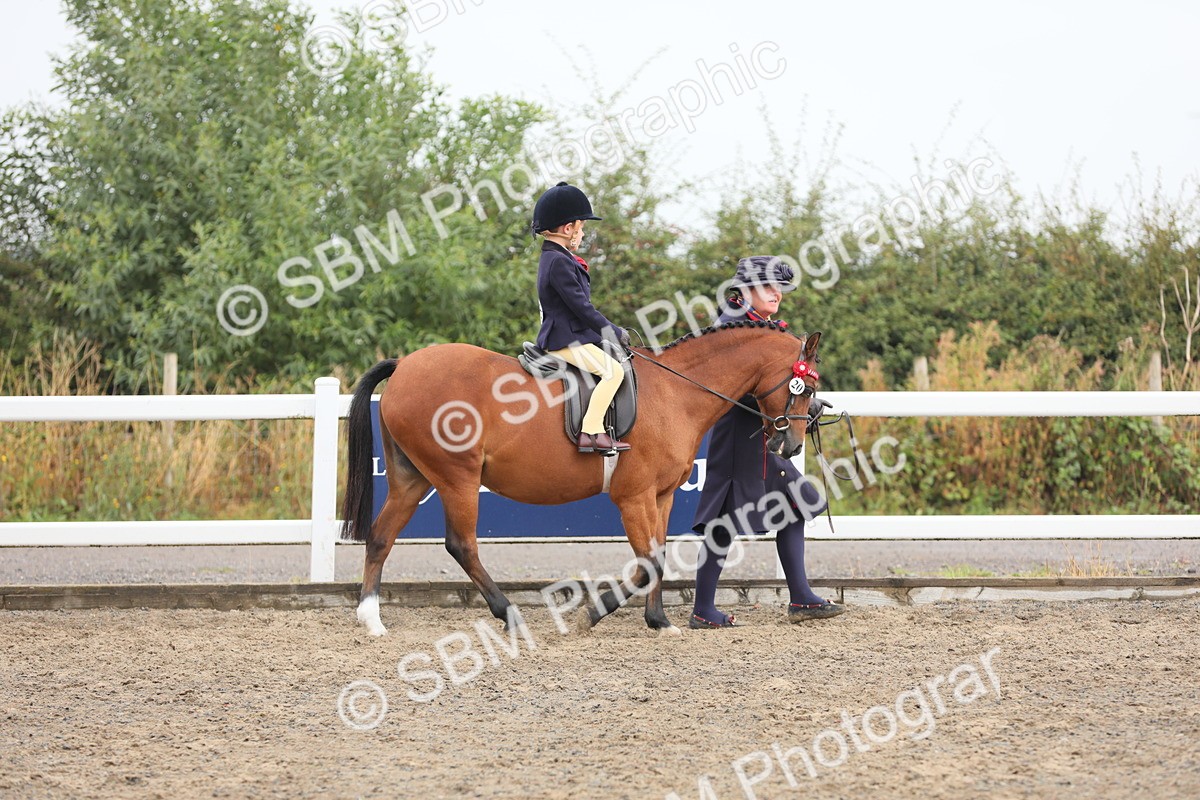 SBM_21697 - Class 806 - Young ridder 10 Yr & Under