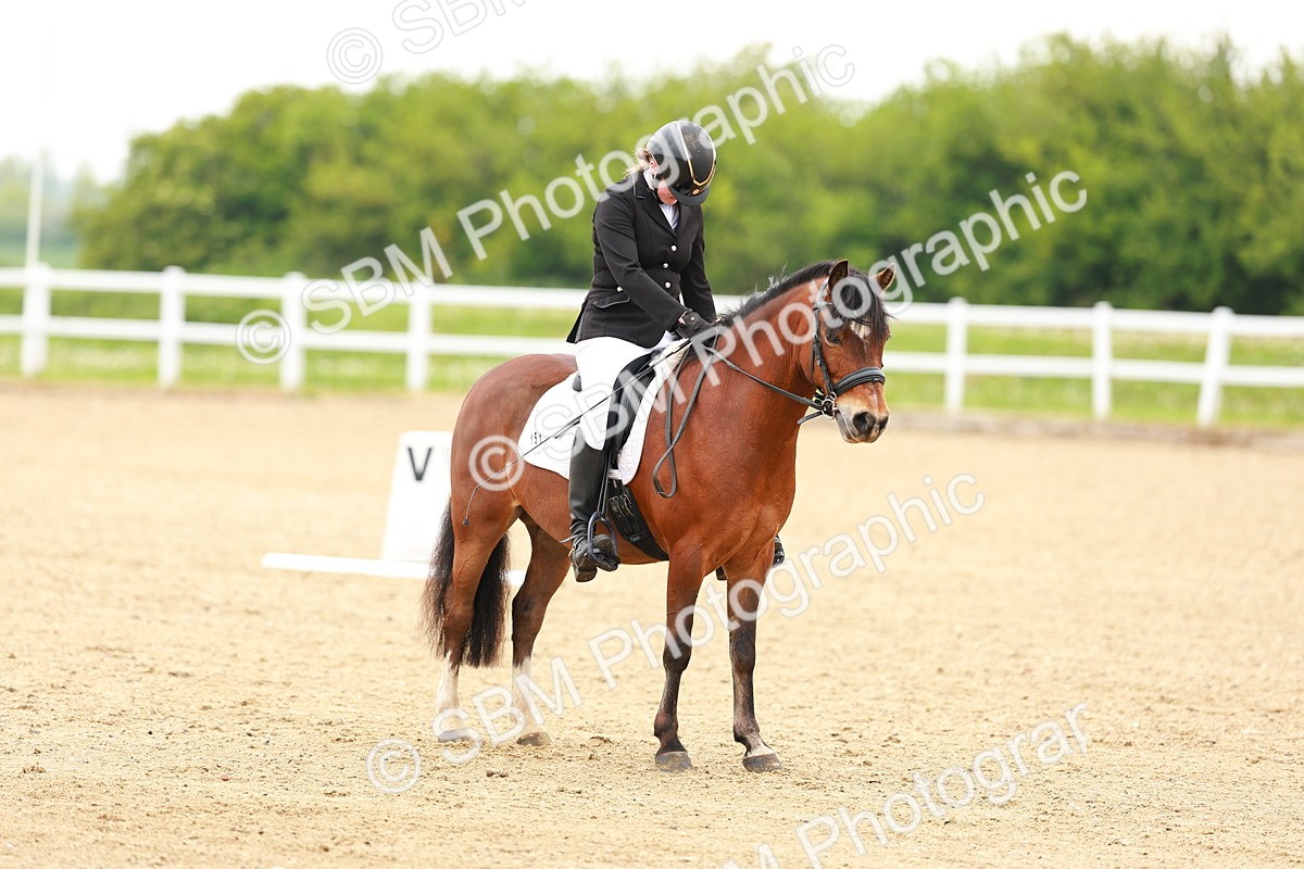 SBM_004796 - Class 15 - Novice 5