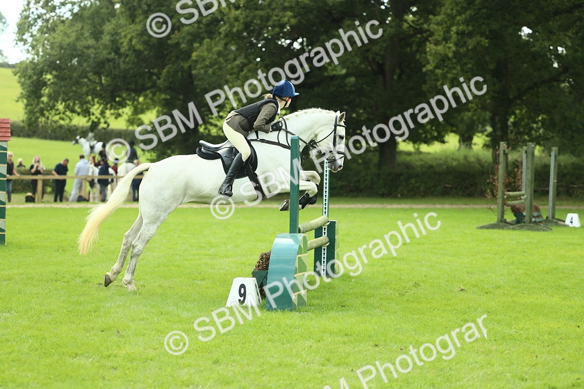 SBM_44732 - S31 - Working Hunter Pony
