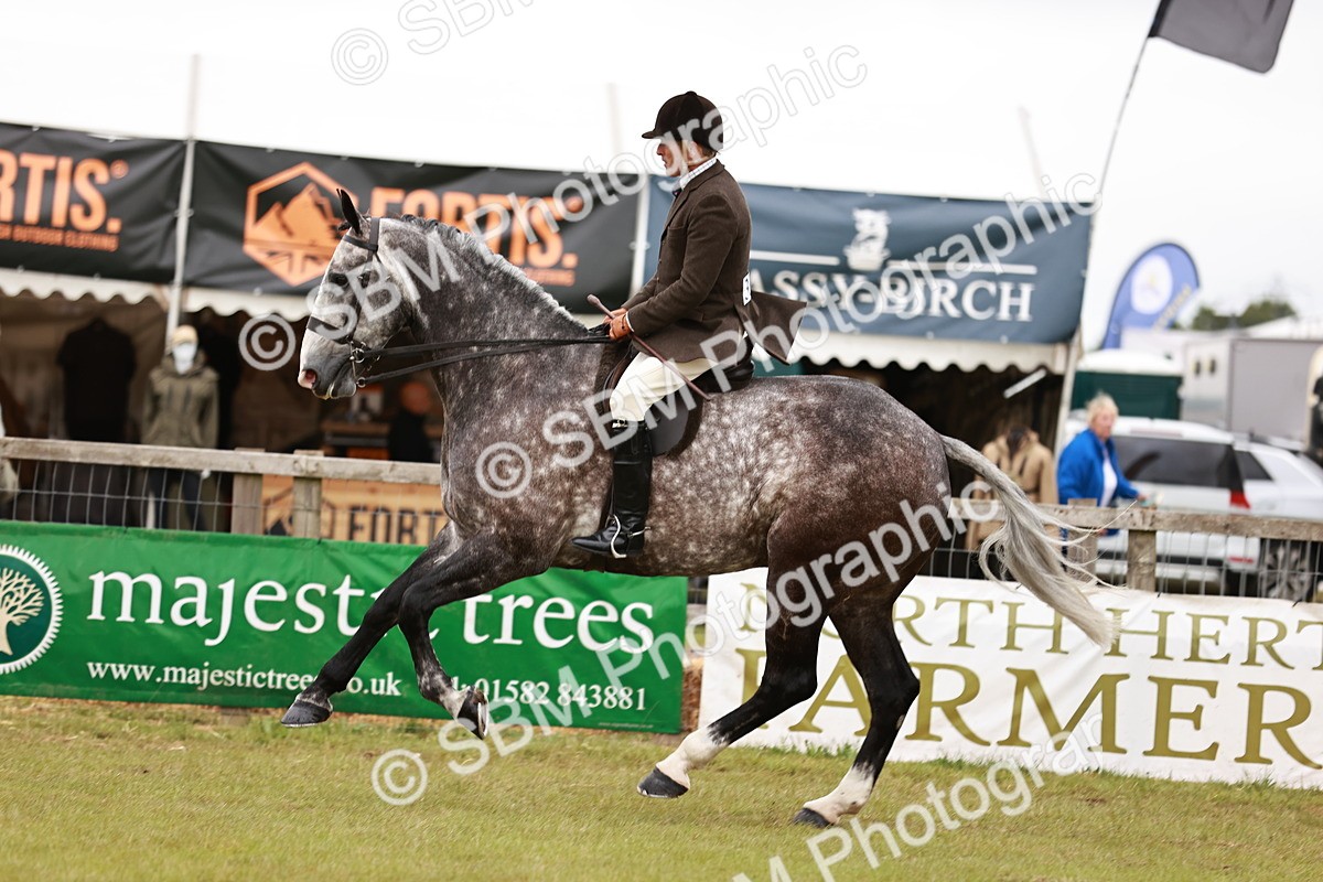 SBM_10935 - Class 81-84 - RIHS Ridden hunters Inc Ladies Hunter