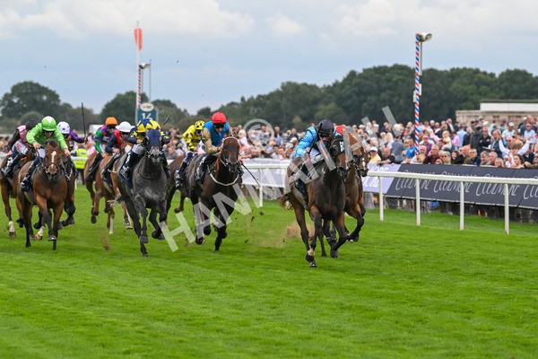 220825-Race 4-Asfoora-7508 - Race 4 3.35pm Coolmore Wootton Bassett Nunthorpe Stakes
