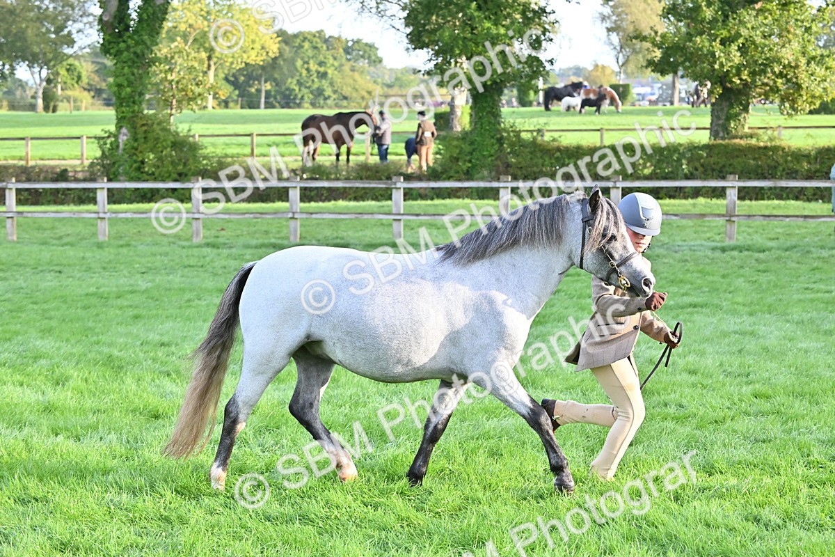 SBM_54623 - S44 - Youngstock In Hand