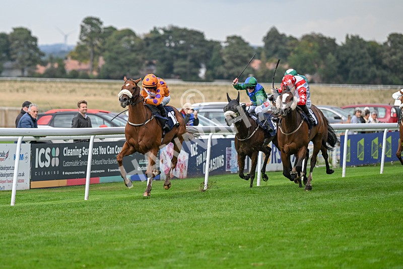 240924-Race 5-Ifonlytheycudtalk-6463 - Race 5