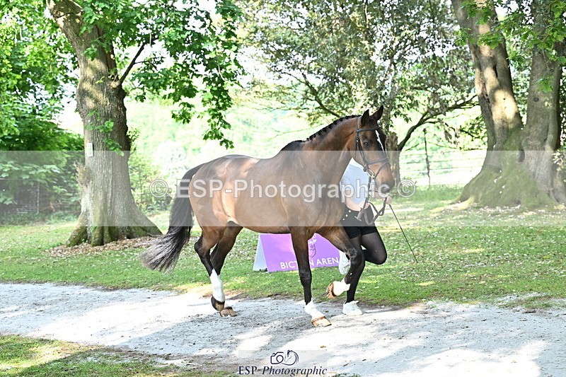 250521A-163900-01255 - C-262-Cosby.Green-LIBERO.D