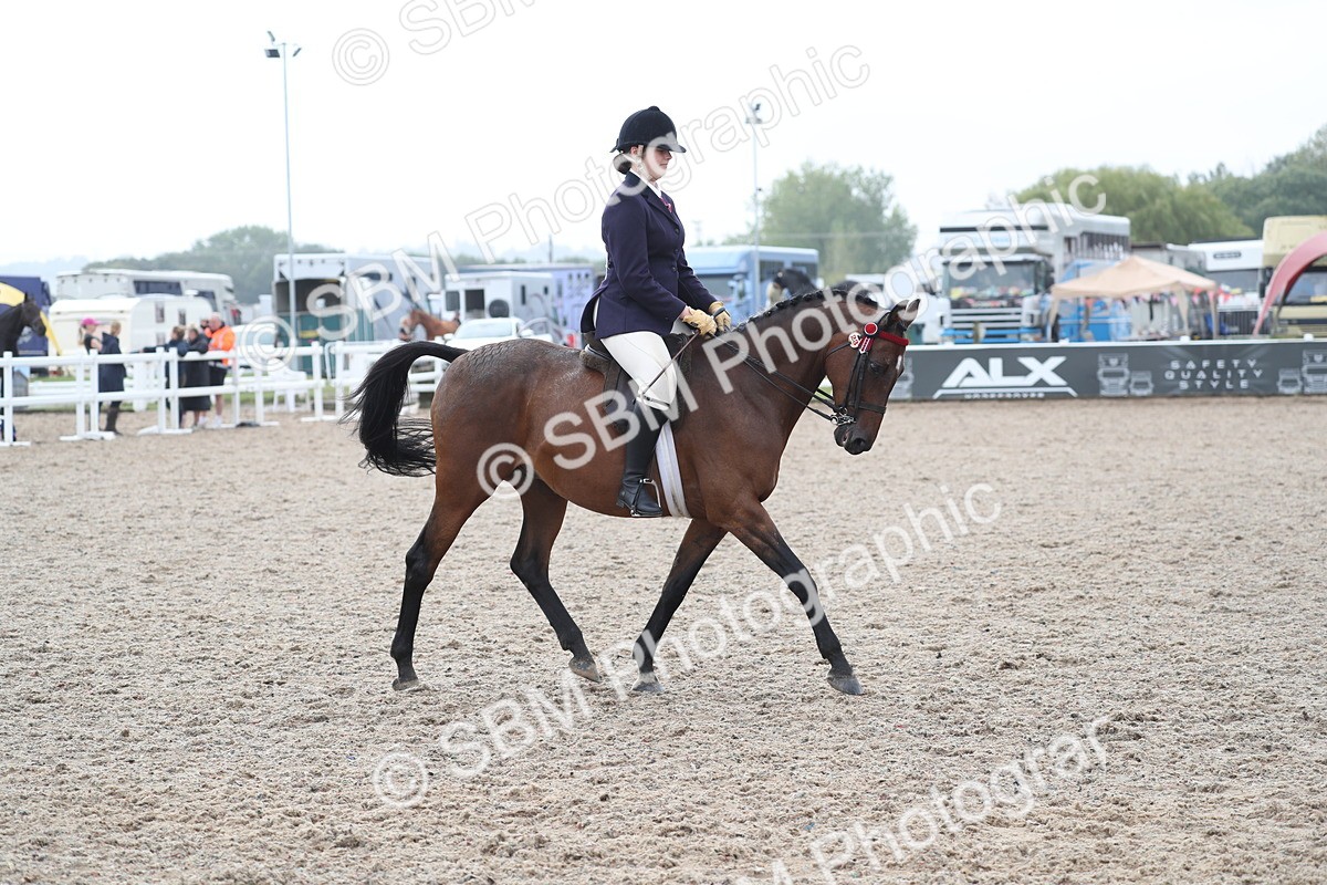 SBM_21642 - Class 602 - 2025 Area - Ridden Veteran
