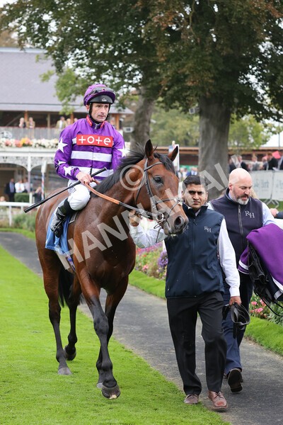 yr09102021r1-52 - Race 1 1.30pm Watch Racing Free Online At Coral Nursery Handicap