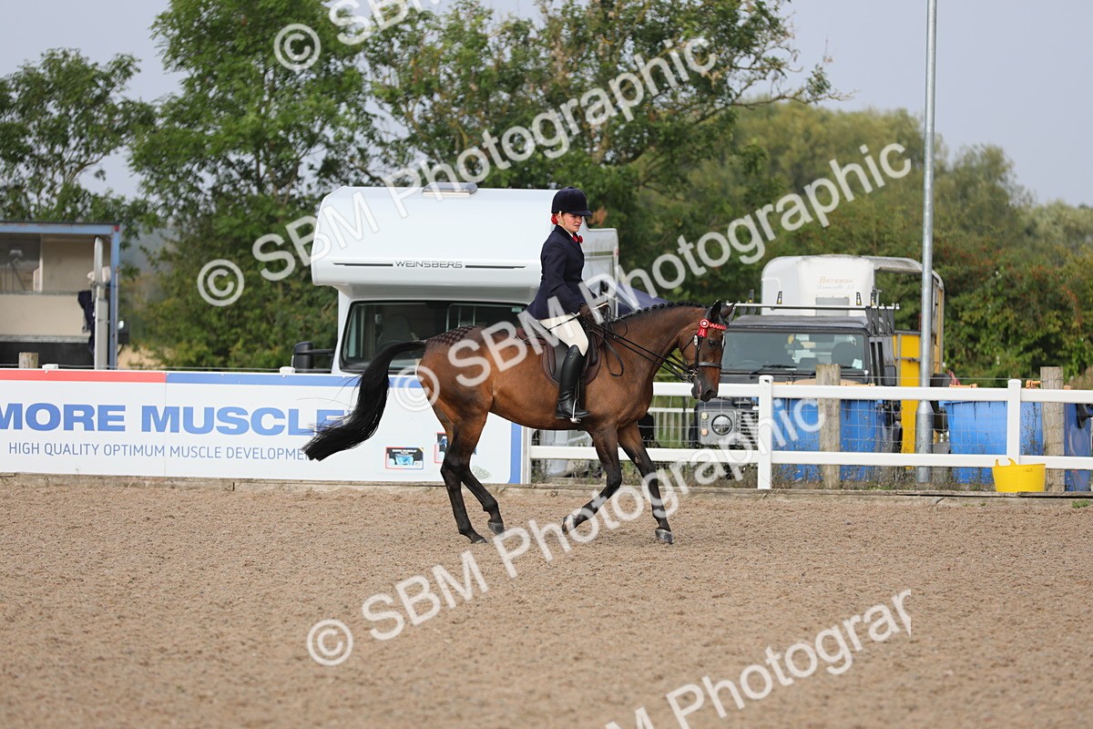 SBM_10675 - Class 303 Ridden Pure Bred Horse/Pony (excl M&M)