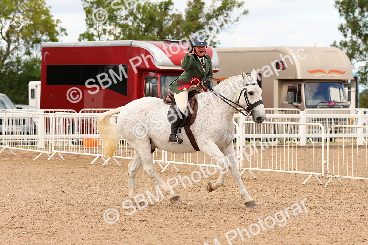 SBM_15617 - Class 214 - Ridden Show Cob