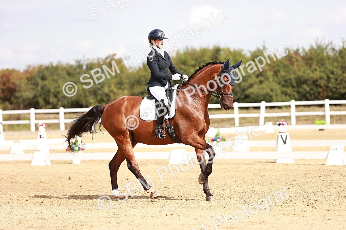 SBM_017642 - Class 11 - Advanced Medium 6