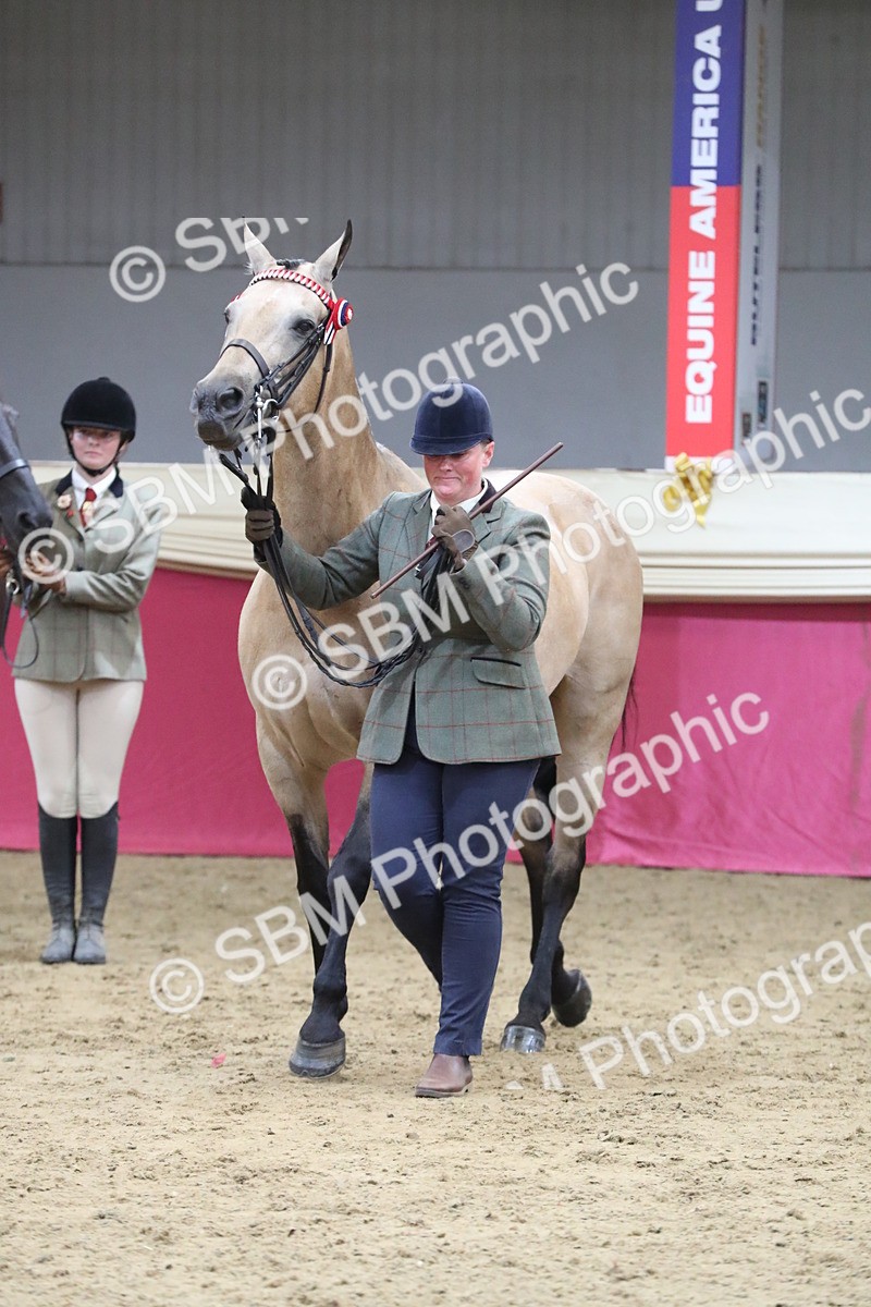 SBM_05036 - Class 8R- Regional -IH Veteran