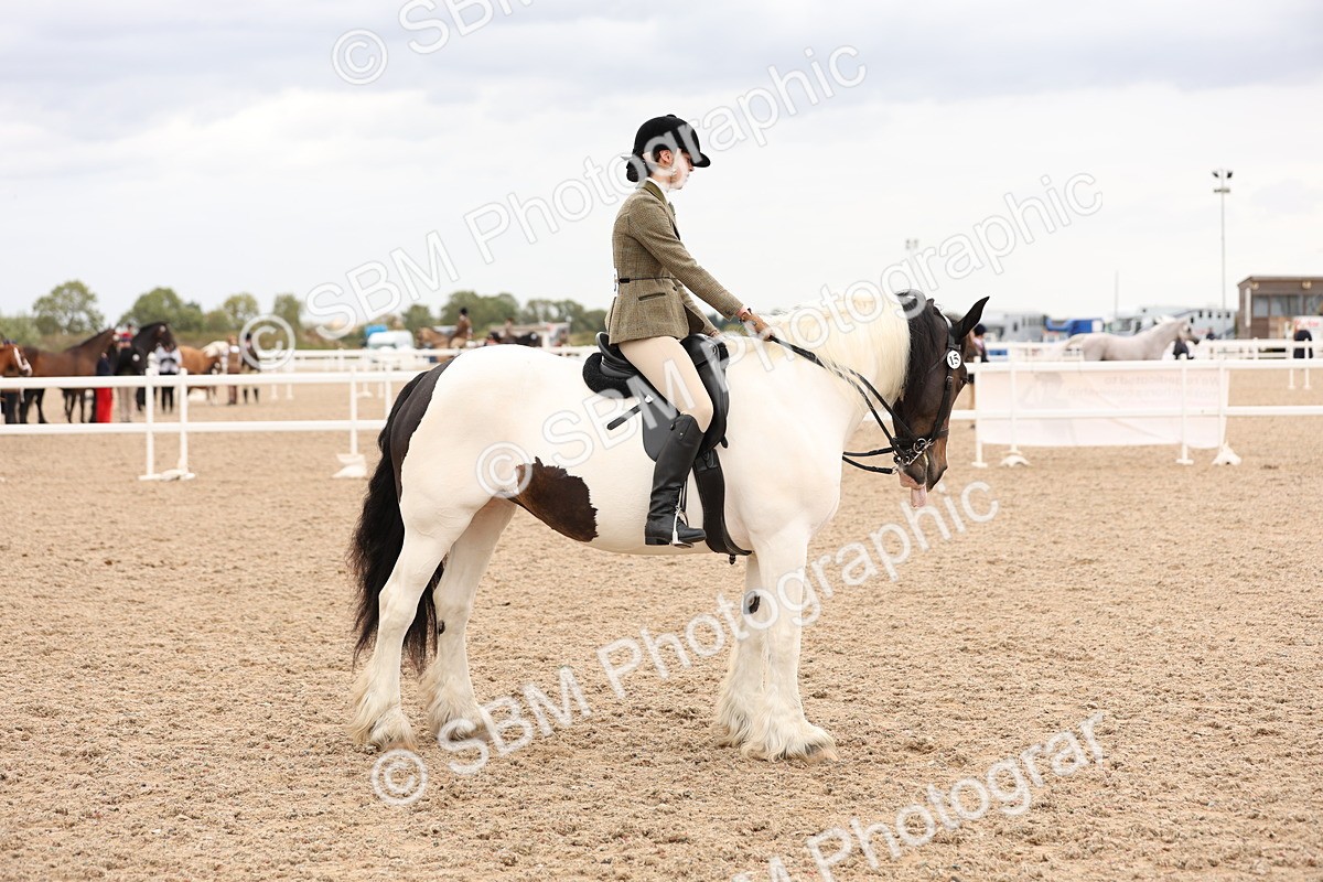 SBM_19711 - Class 216 - Ridden Traditional - Native Cob