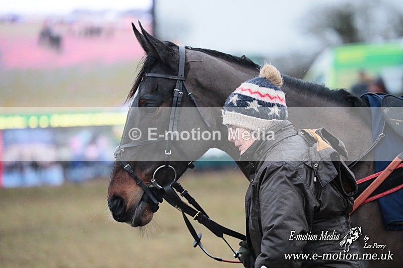 PtP 260125 798 - Cocklebarrow Point-to-Point racing with the Heythrop Hunt 26/01/25