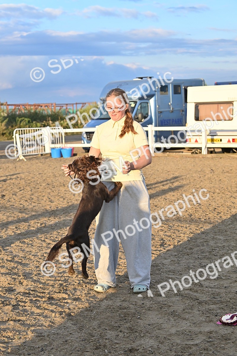 SBM_09701 - Lorry Dogs