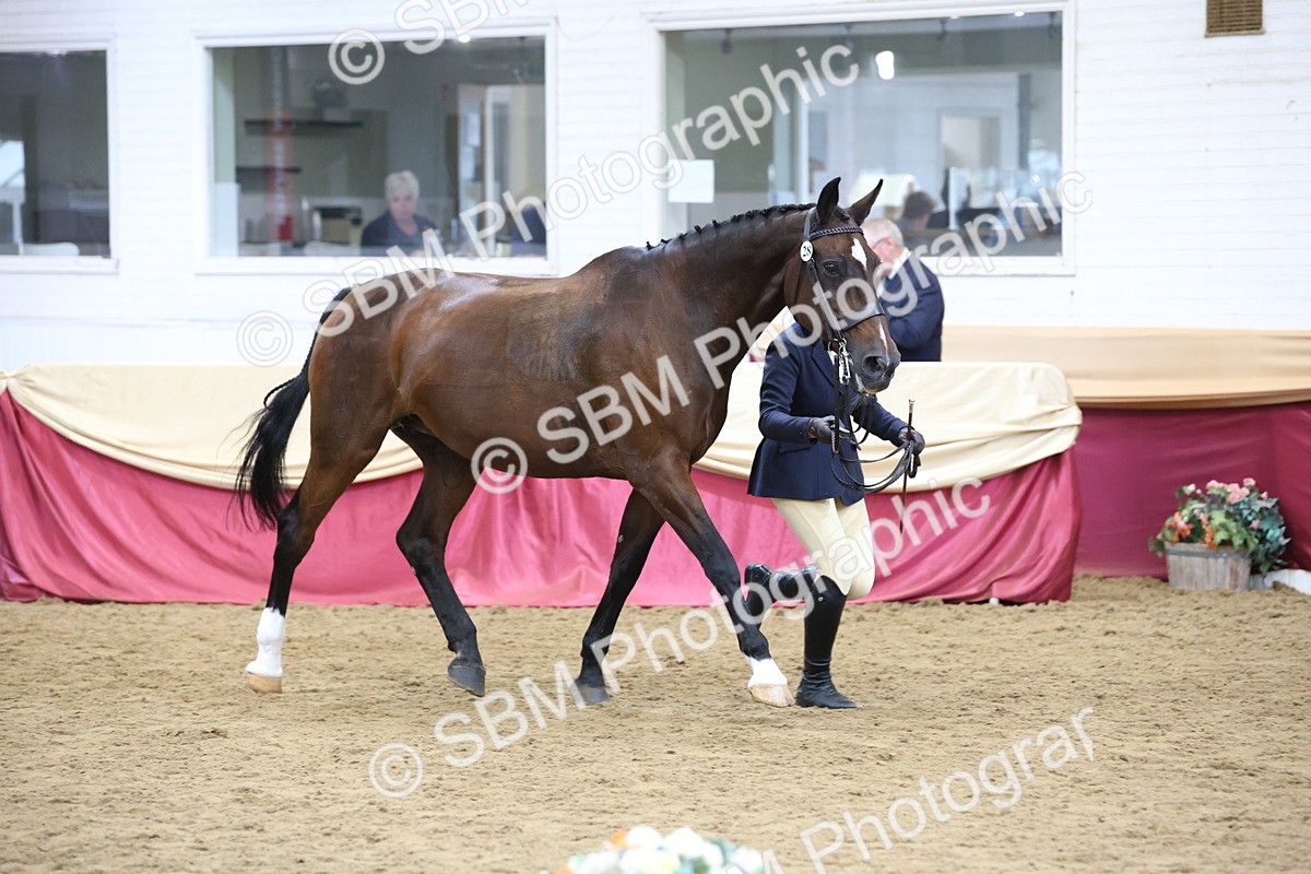 SBM_23602 - Class 904 - Supreme Final - Ridden Diamond