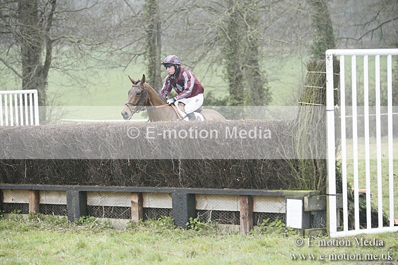 PtP 020418 -308 - Old Berks Point-to-Point Races Easter Monday 02/04/18