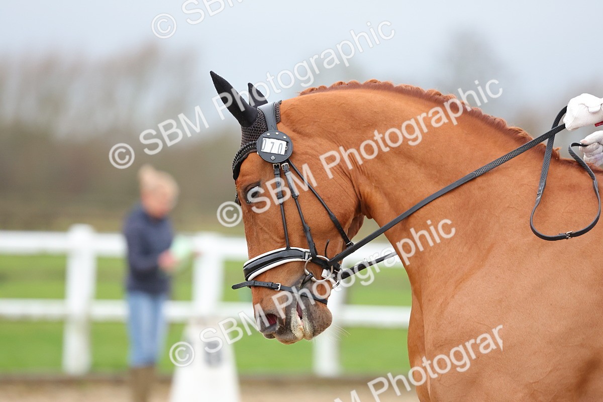 SBM_003041 - Class 6 - Novice 4