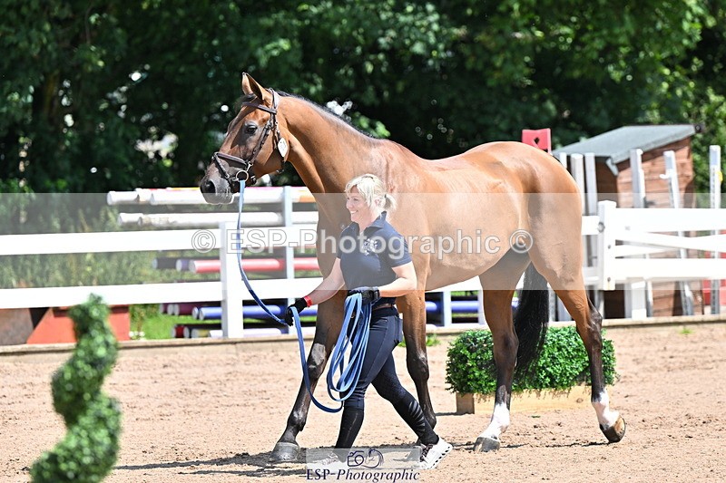 240718A-105239-00987 - Trot Up 11am to 12pm