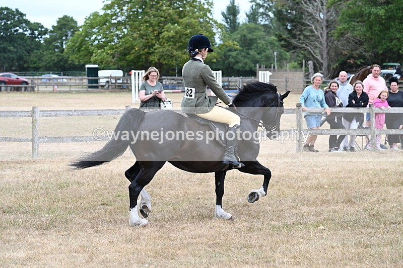 WJ7_0472 - Class 6 Ridden Mountain and Moorland