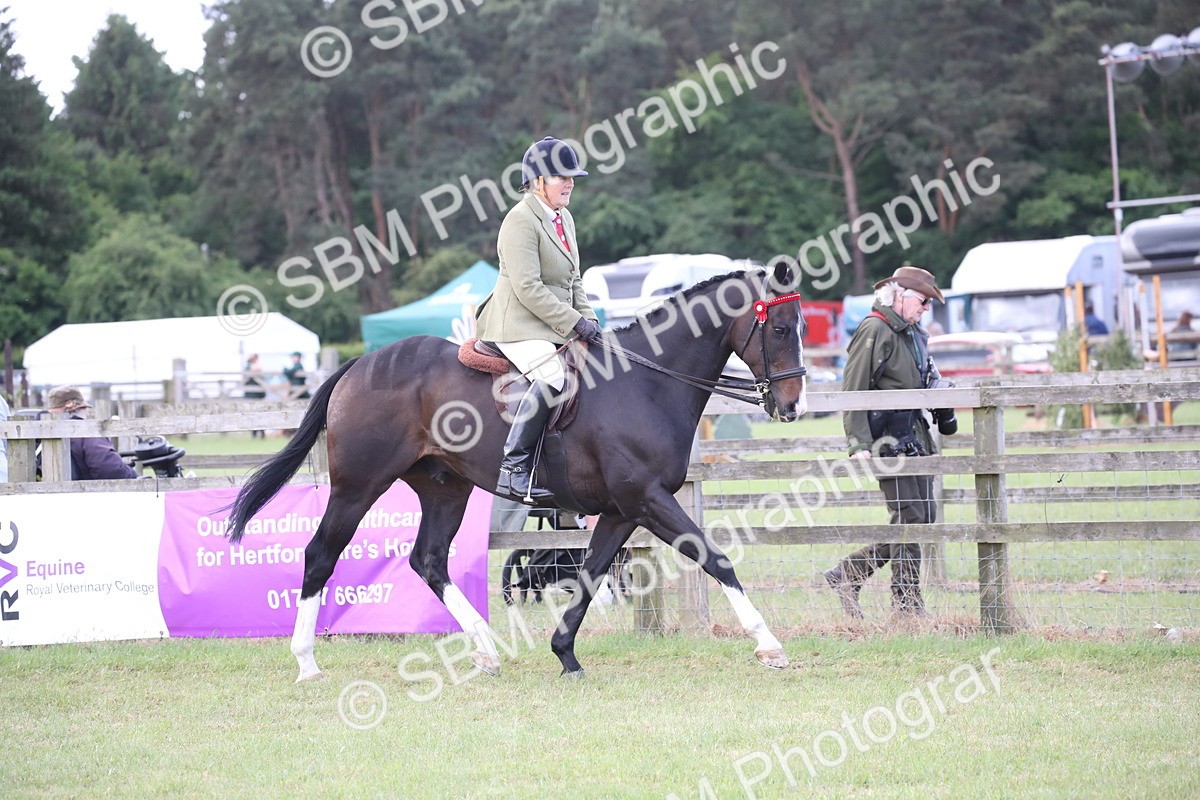 SBM_14162 - Class 113-114 - Retraining of Racehorses Ridden