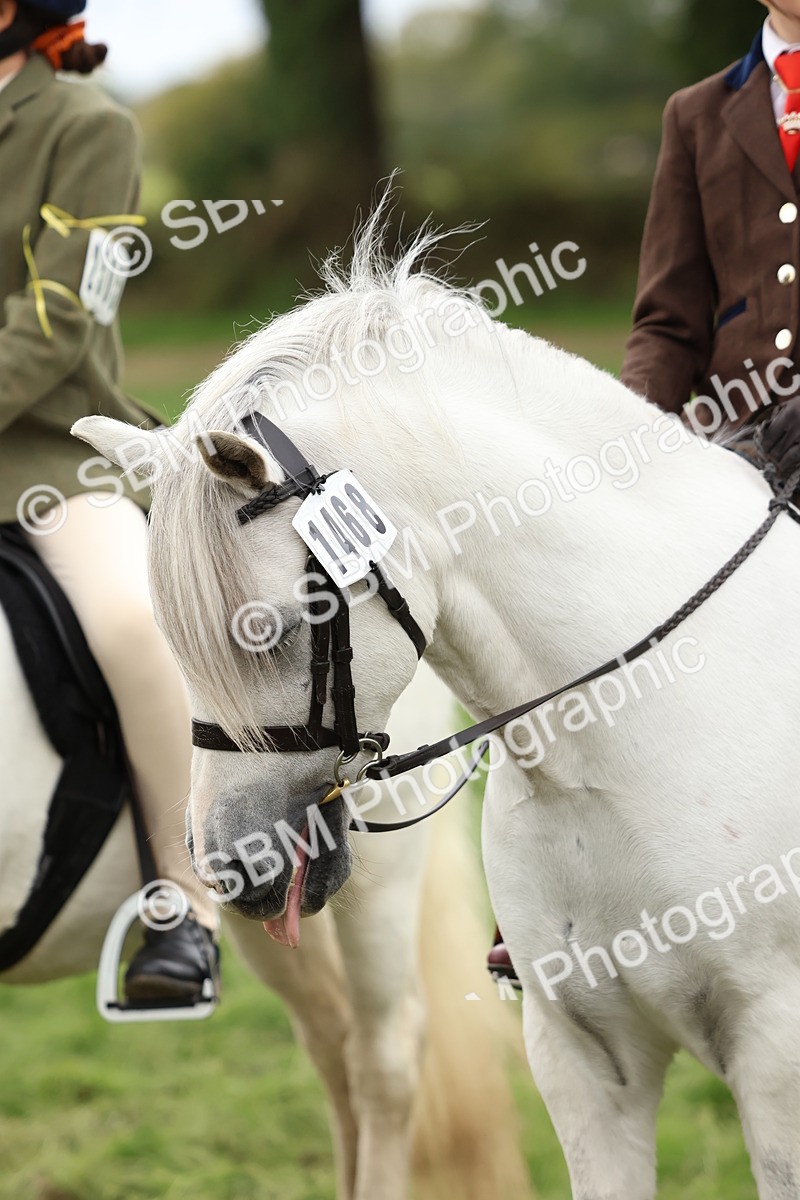 SBM_67425 - S61 - Mountain & Moorland Ridden