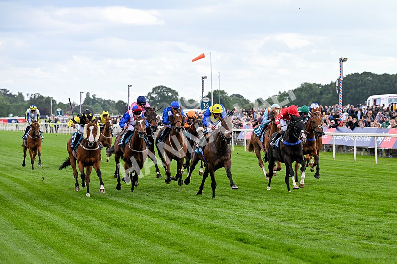 130626-Race 6-Point Of Contact-2091 - Race 6 16.50pm Ice Co Supporting Macmillan Handicap