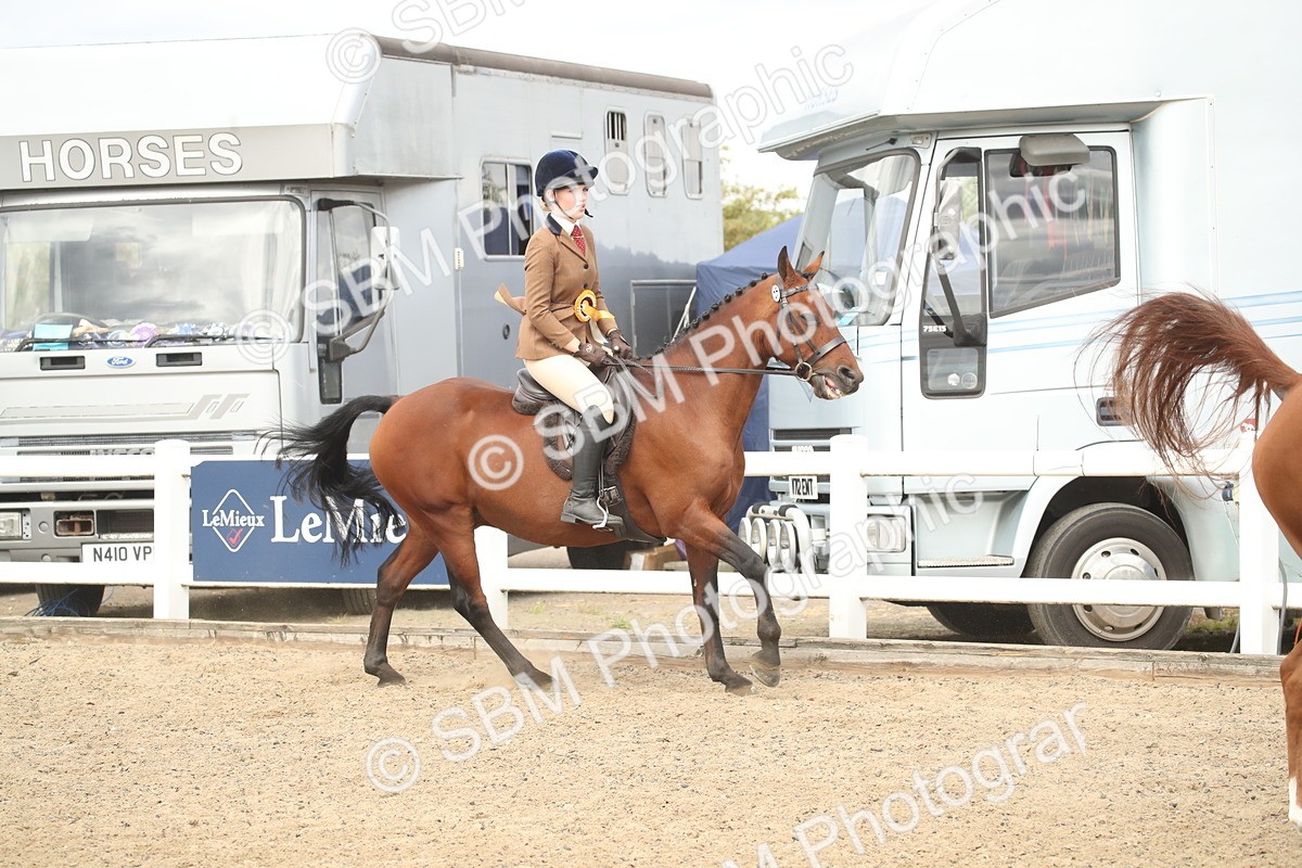 SBM_16582 - Class 506b - Working Veteran - 50cm (20+)