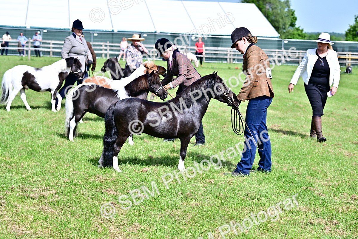 SBM_03515