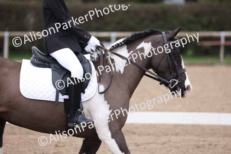 20260228-0186 - Class 3 - Prelim 1