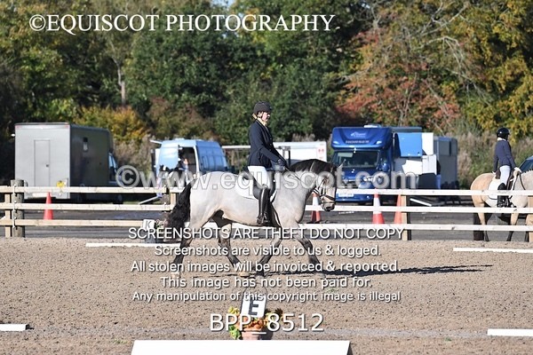 BPP_8512 - SHORT ARENA
